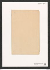 Navicula sp. (de-Toni-Nr.: Genus 1) Zeichnungen Sammlung Grunow (NHMW-BOT-W0368112)